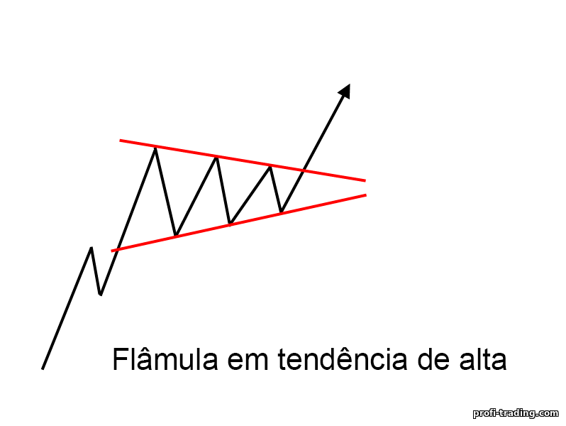 flâmula em tendência de alta flâmula em tendência de alta