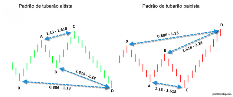 padrão de tubarão