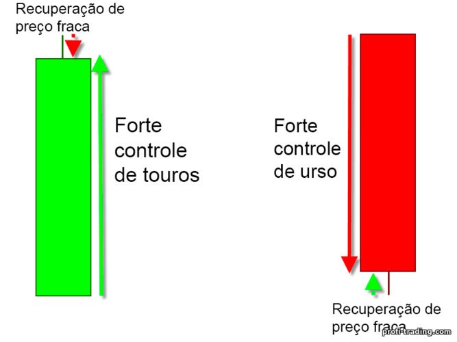 forte controle de ursos e touros