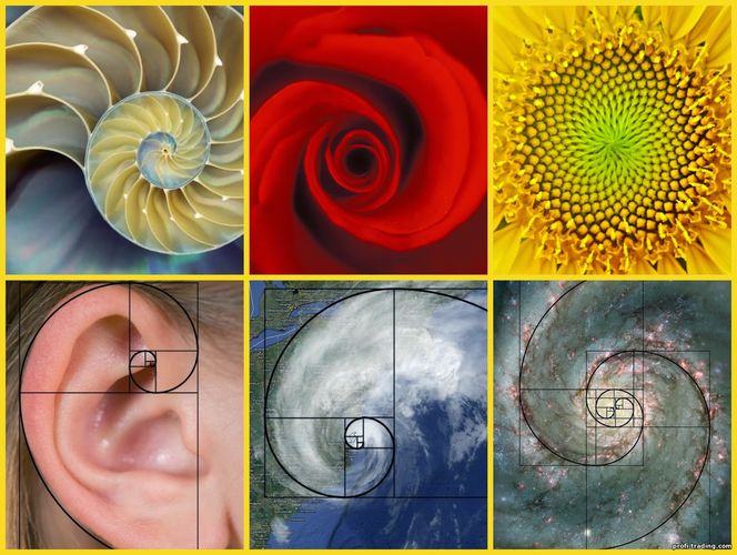 Proporção áurea de Fibonacci