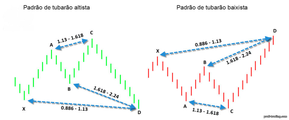 padrão de tubarão padrão de tubarão